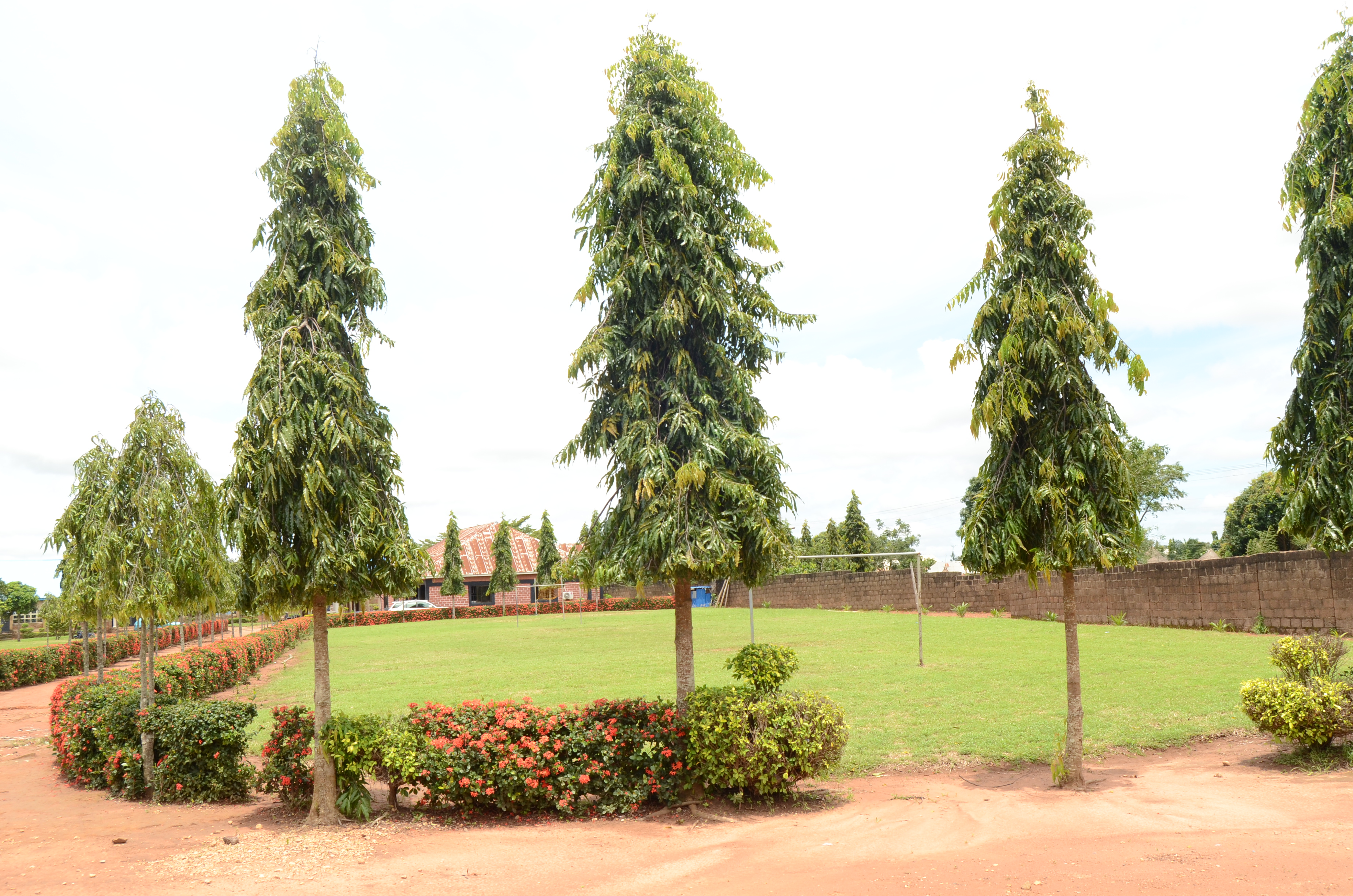 St. Winifred's Environment